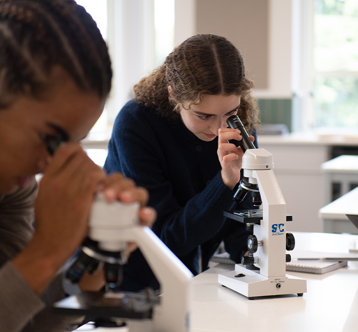 The College Experience