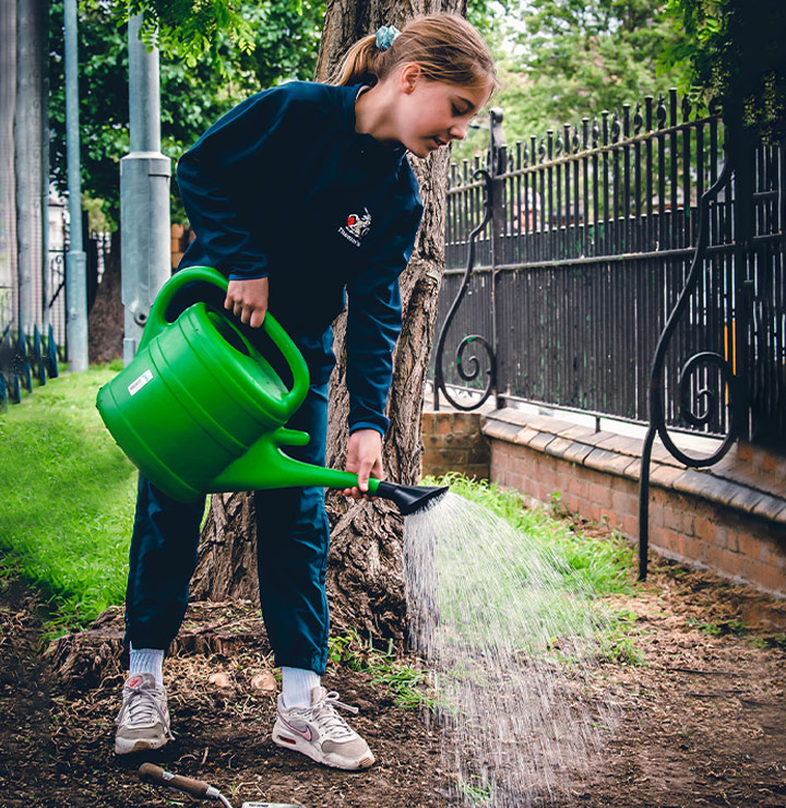 Environmental and Social Governance 