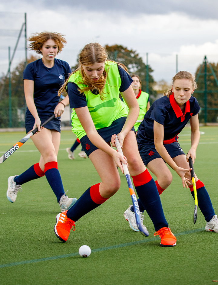 Our Journey Takes Flight